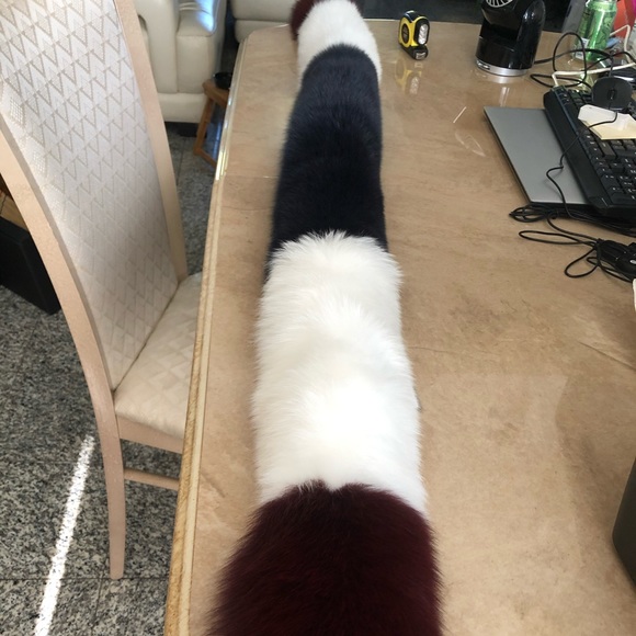 FOX - Picture 10 of 16